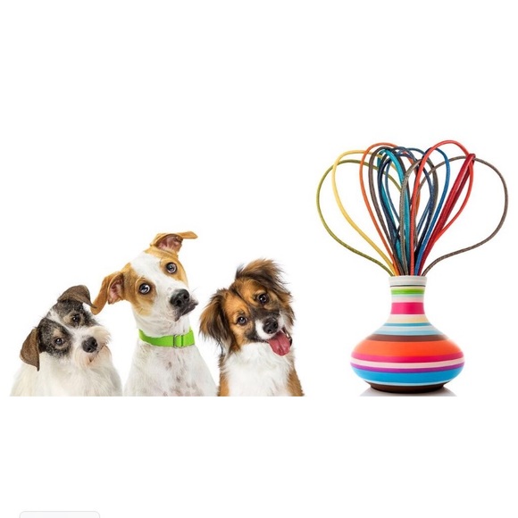 Handmade Ostrich Dog Collar - Picture 6 of 8